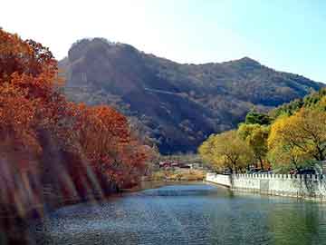 新澳天天开奖资料大全旅游团，山东太阳能生产厂家